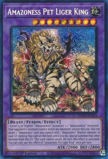 Amazoness Pet Liger King 25th Anniversary Tin: Dueling Heroes Mega Pack Yu-Gi-Oh! card