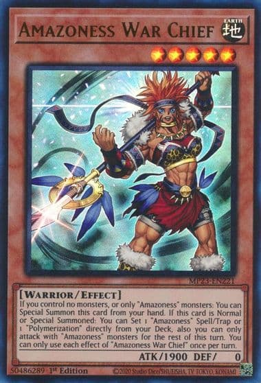 Amazoness War Chief 25th Anniversary Tin: Dueling Heroes Mega Pack Yu-Gi-Oh! card