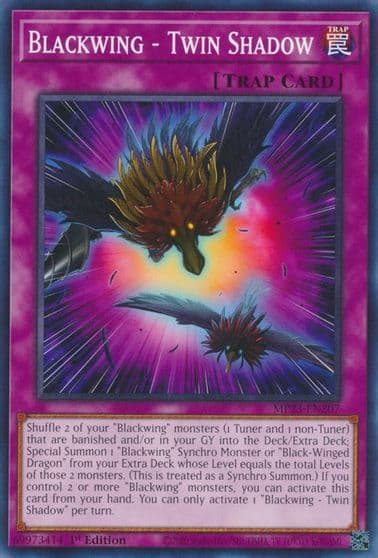 Blackwing Twin Shadow 25th Anniversary Tin: Dueling Heroes Mega Pack Yu-Gi-Oh! card