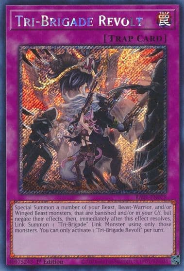 Tri Brigade Revolt Platinum Secret Rare 25th Anniversary Rarity Collection Yu-Gi-Oh! card