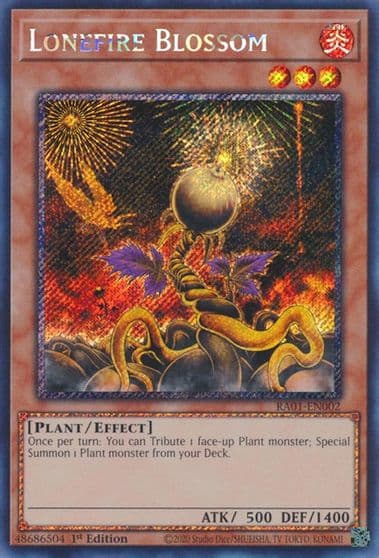 Lonefire Blossom Platinum Secret Rare 25th Anniversary Rarity Collection Yu-Gi-Oh! card