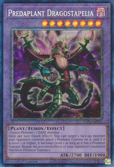 Predaplant Dragostapelia PCR 25th Anniversary Rarity Collection Yu-Gi-Oh! card