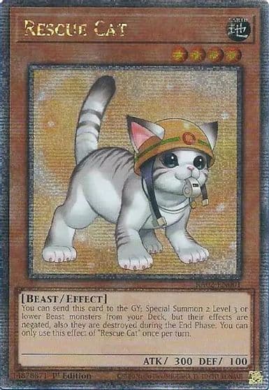 Rescue Cat Alternate Art Quarter Century Secret Rare 25th Anniversary Rarity Collection II Yu-Gi-Oh! card