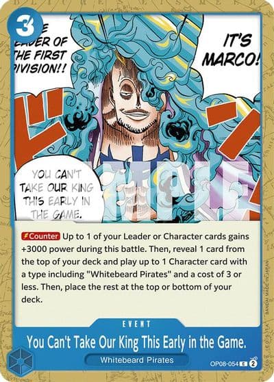 You Cant Take Our King This Early in the Game Two Legends One Piece card
