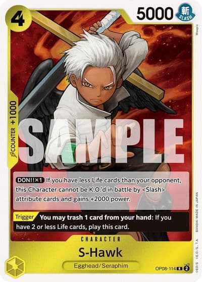 S Hawk Two Legends One Piece card