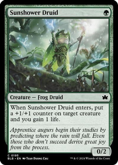 Sunshower Druid Bloomburrow Magic card