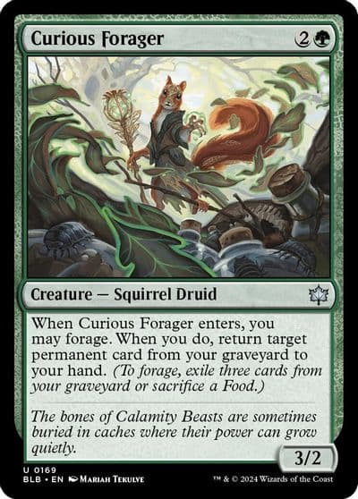 Curious Forager Bloomburrow Magic card