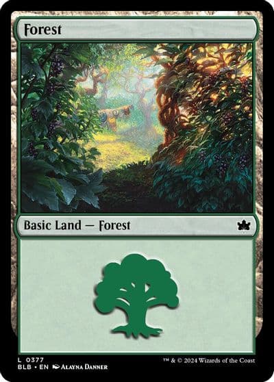 Forest 0377 Bloomburrow Magic card