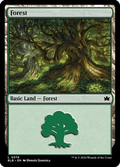 Forest 0378 Bloomburrow Magic card