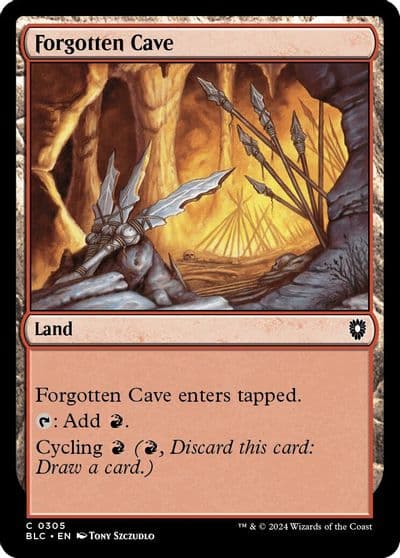 Forgotten Cave Commander: Bloomburrow Magic card