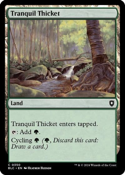 Tranquil Thicket Commander: Bloomburrow Magic card