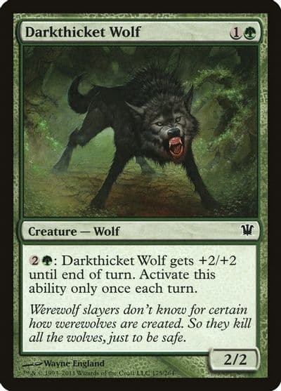 Darkthicket Wolf Innistrad Magic card