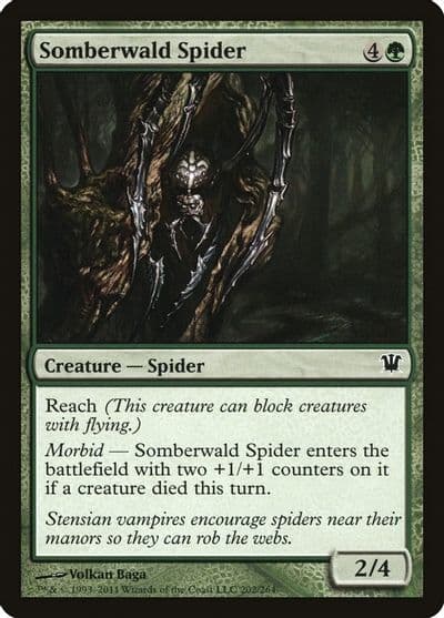 Somberwald Spider Innistrad Magic card