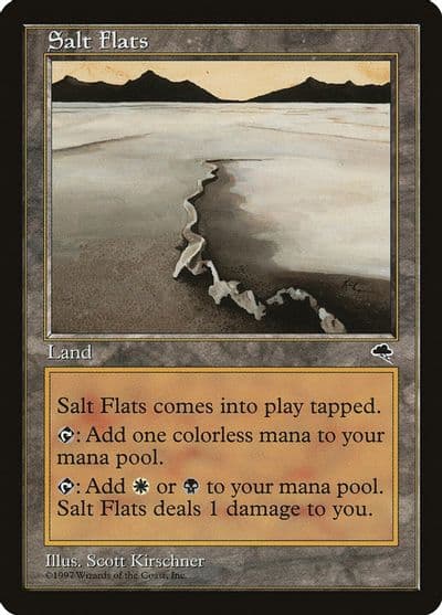 Salt Flats Tempest Magic card