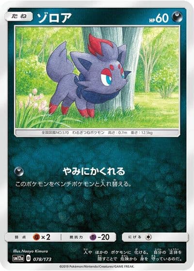 Zorua SM12a: TAG TEAM GX: Tag All Stars Pokemon card