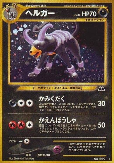 Houndoom Crossing the Ruins... Pokemon card