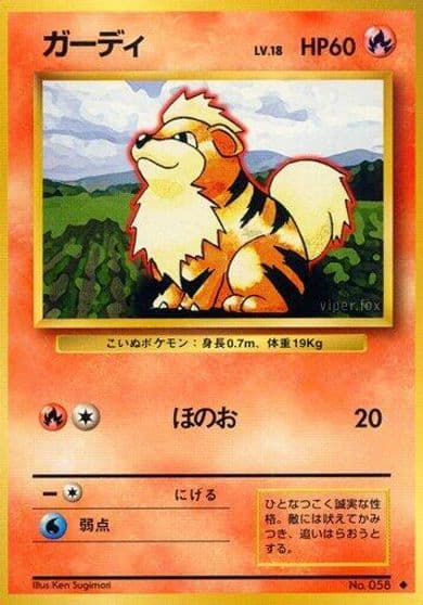 Growlithe Expansion Pack Pokemon card