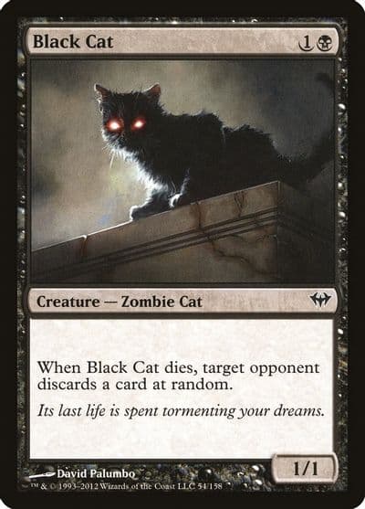 Black Cat Dark Ascension Magic card