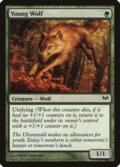 Young Wolf Dark Ascension Magic card