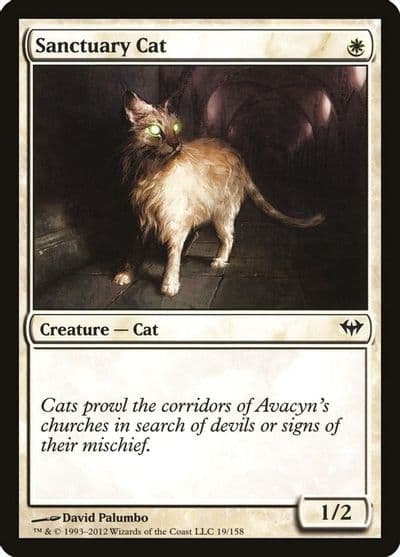 Sanctuary Cat Dark Ascension Magic card
