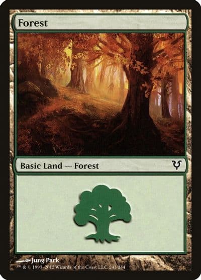 Forest 243 Avacyn Restored Magic card