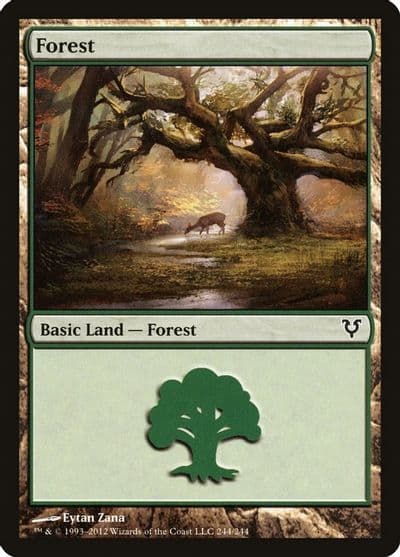 Forest 244 Avacyn Restored Magic card