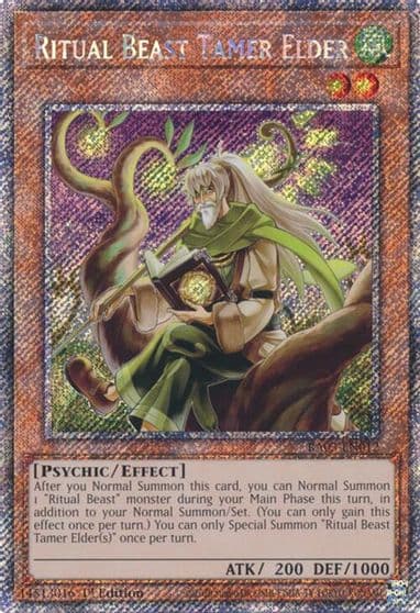 Ritual Beast Tamer Elder Platinum Secret Rare Quarter Century Bonanza Yu-Gi-Oh! card