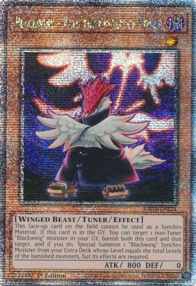 Blackwing Vayu the Emblem of Honor Quarter Century Secret Rare Quarter Century Bonanza Yu-Gi-Oh! card