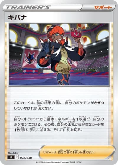 Raihan sK: VSTAR Premium Trainer Box Pokemon card