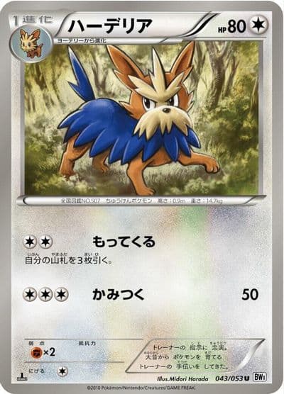 Herdier BW1: White Collection Pokemon card