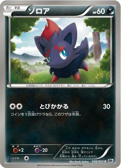 Zorua BW1: White Collection Pokemon card