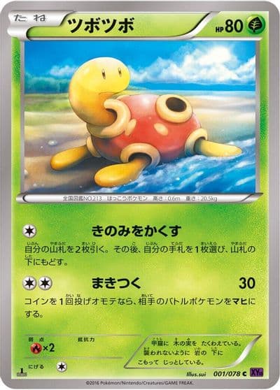 Shuckle XY10: Awakening Psychic King Pokemon card