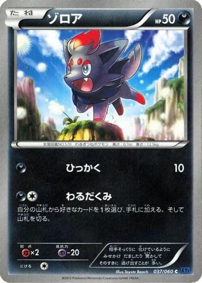 Zorua XY-Bx: Collection X Pokemon card