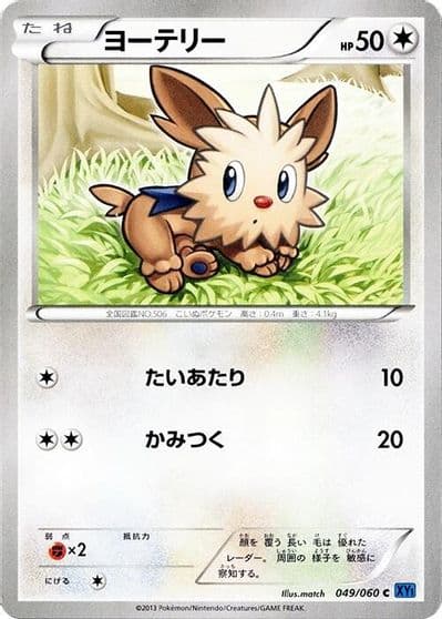 Lillipup XY-Bx: Collection X Pokemon card