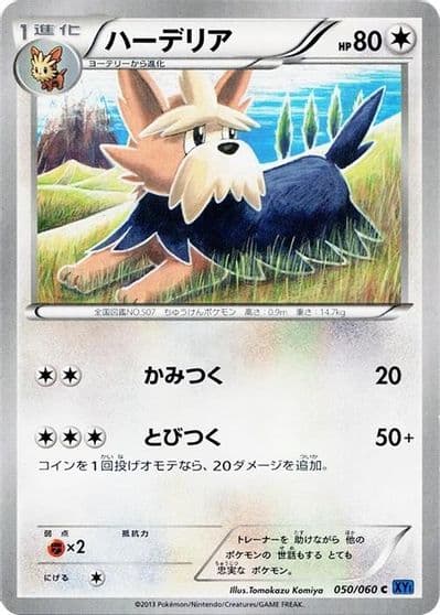 Herdier XY-Bx: Collection X Pokemon card