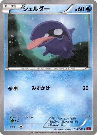 Shellder XY-By: Collection Y Pokemon card
