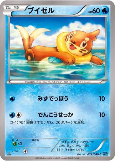 Buizel XY2: Wild Blaze Pokemon card