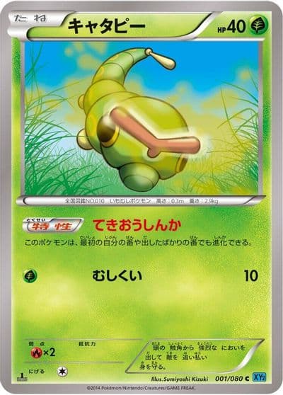 Caterpie XY2: Wild Blaze Pokemon card