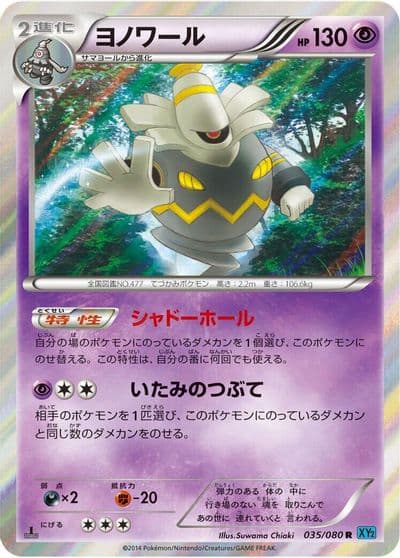 Dusknoir XY2: Wild Blaze Pokemon card