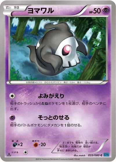 Duskull XY2: Wild Blaze Pokemon card