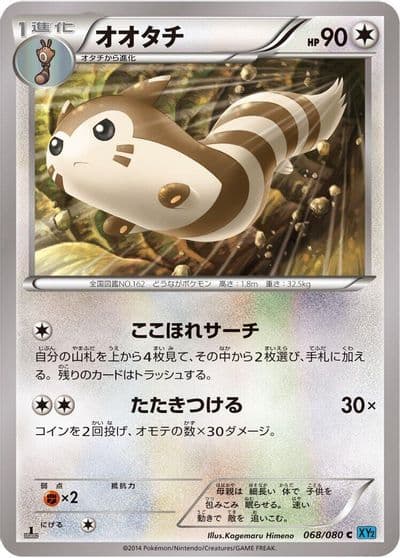 Furret XY2: Wild Blaze Pokemon card