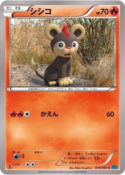 Litleo XY2: Wild Blaze Pokemon card