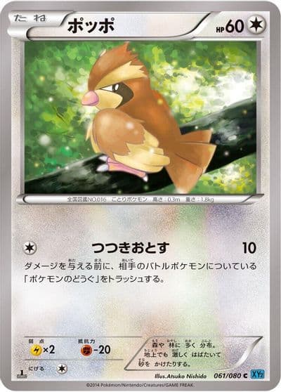Pidgey XY2: Wild Blaze Pokemon card