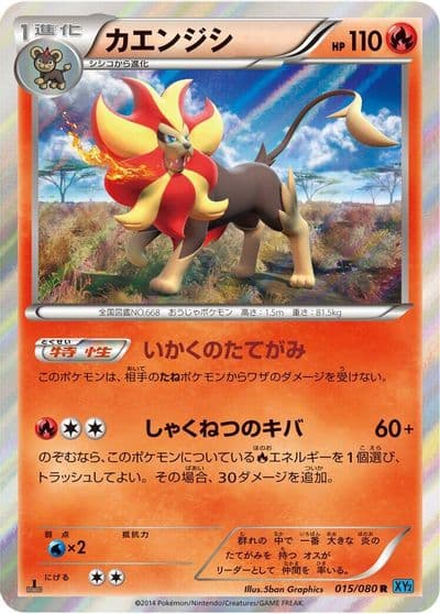 Pyroar XY2: Wild Blaze Pokemon card