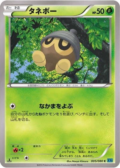 Seedot XY2: Wild Blaze Pokemon card
