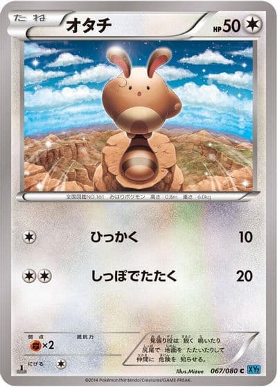 Sentret XY2: Wild Blaze Pokemon card