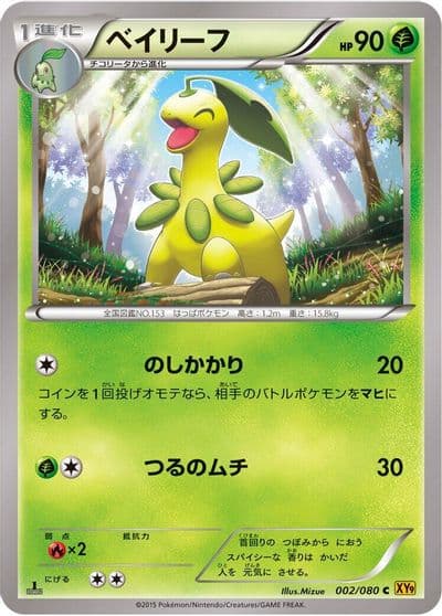 Bayleef XY9: Rage of the Broken Heavens Pokemon card
