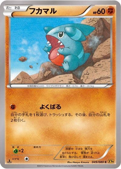 Gible XY9: Rage of the Broken Heavens Pokemon card