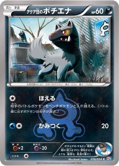 Team Aqua's Poochyena CP1: Magma Gang vs Aqua Gang: Double Crisis Pokemon card