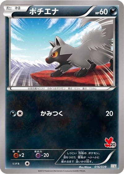 Poochyena XY Beginning Set Pokemon card